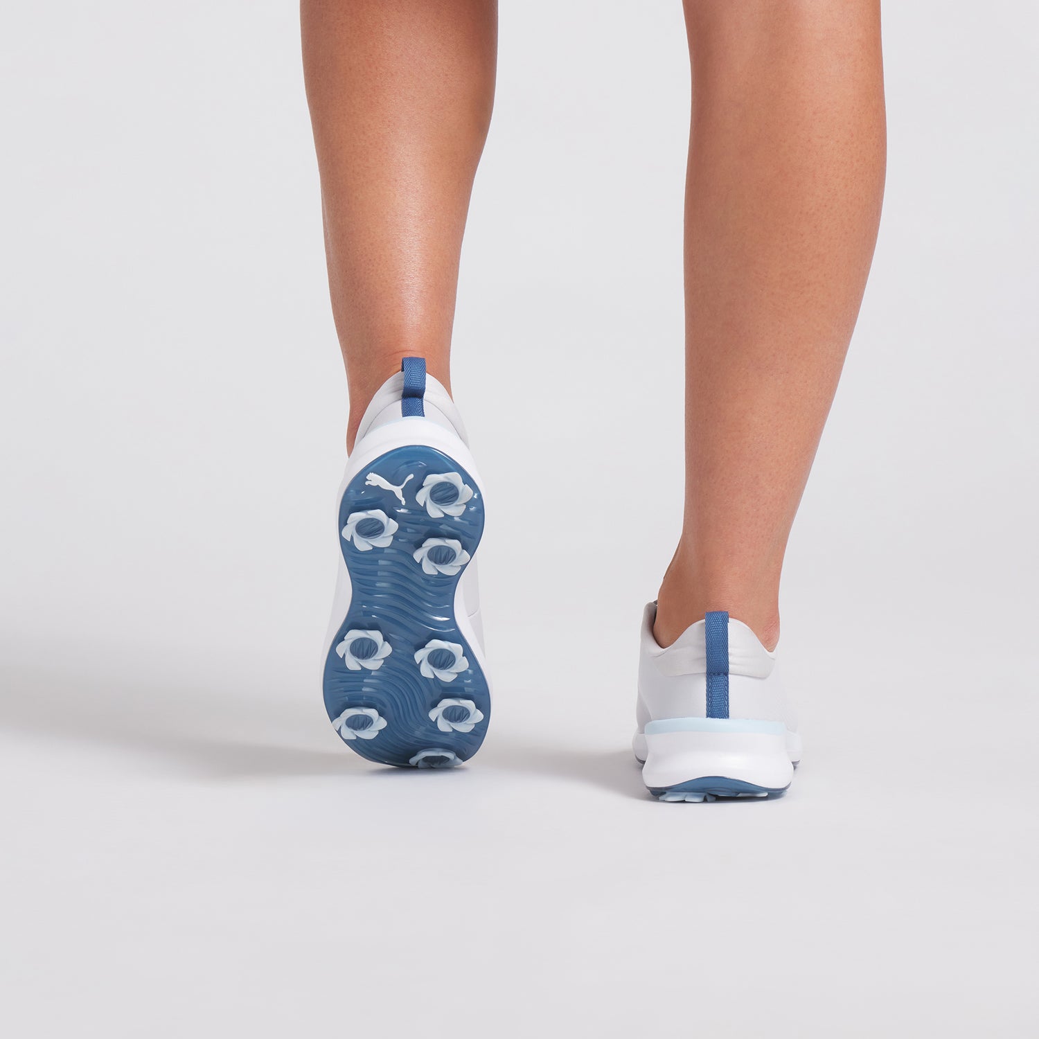 Feather Gray / Blue Horizon