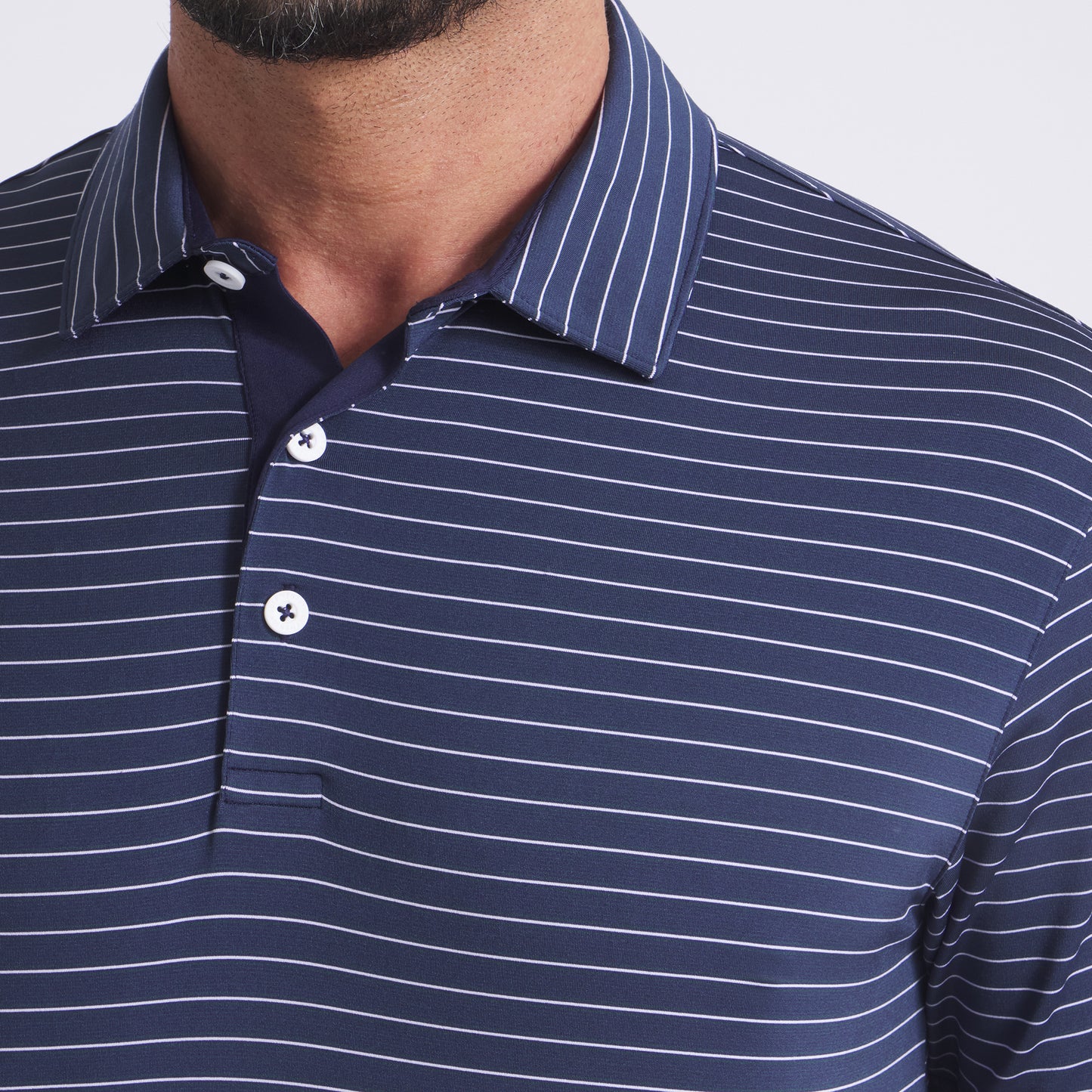 Green Terrain / Deep Navy