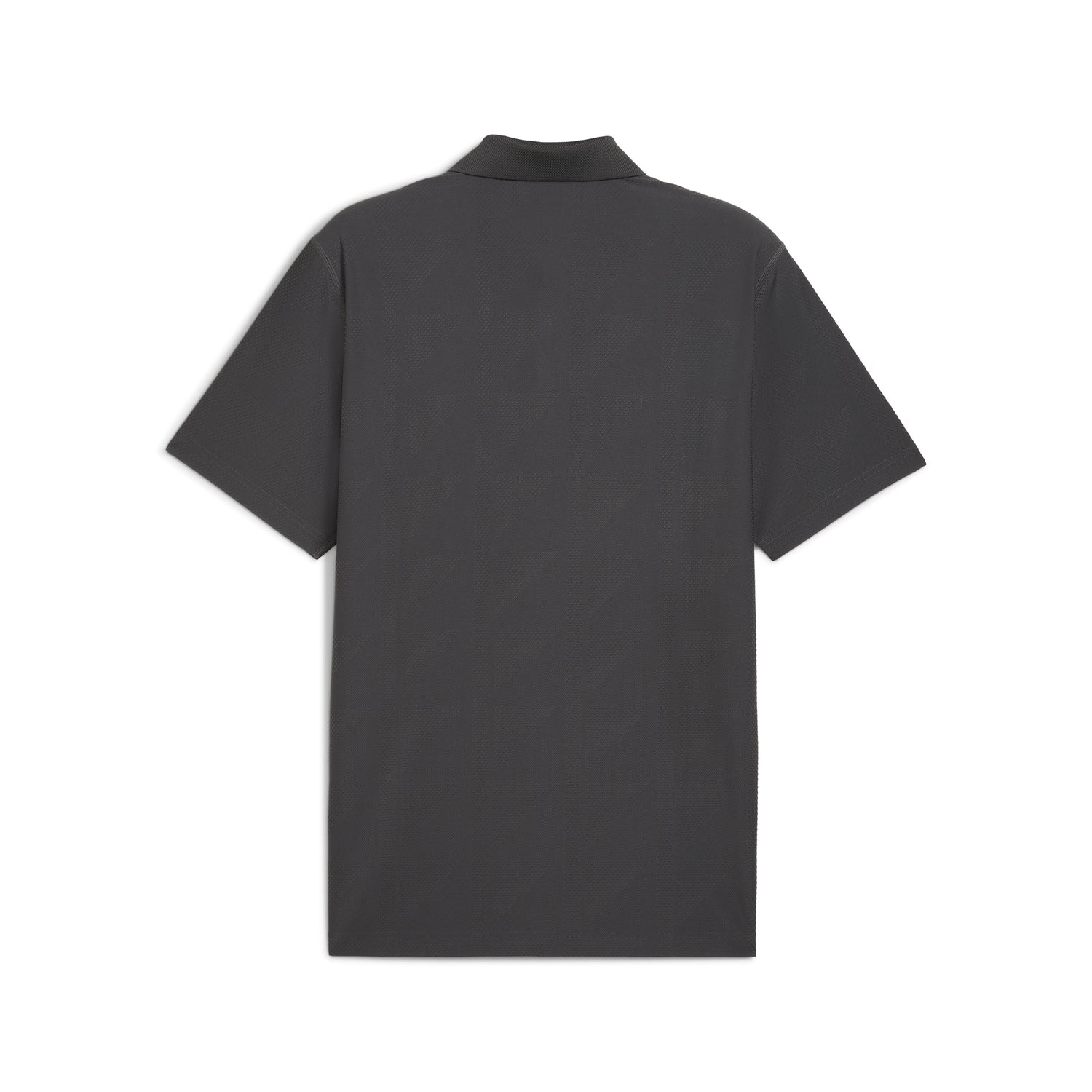 Dusky Gray