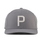 Shady Gray / Platino Silver