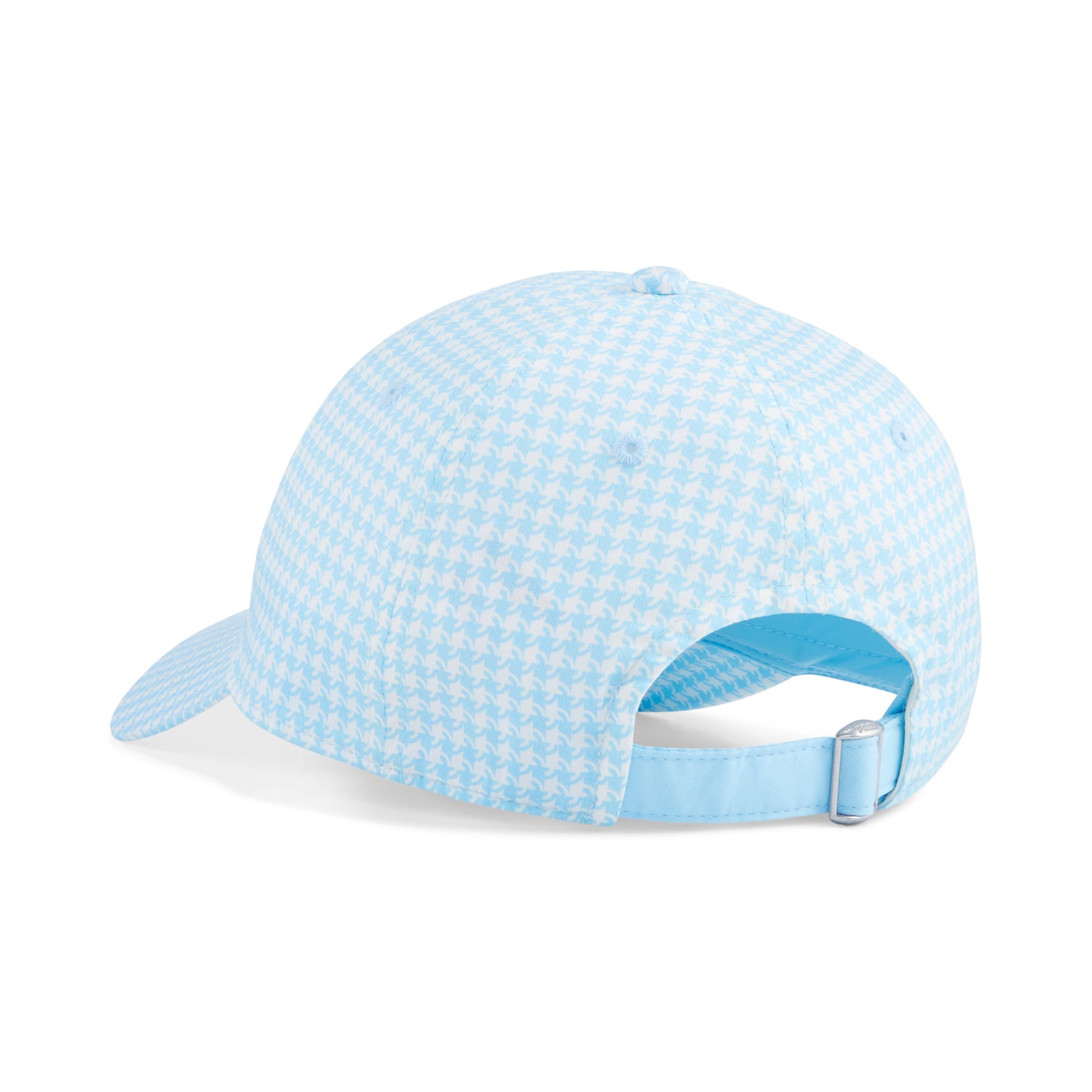 Warm White / Spring Blue