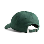 Forest Green / Warm White