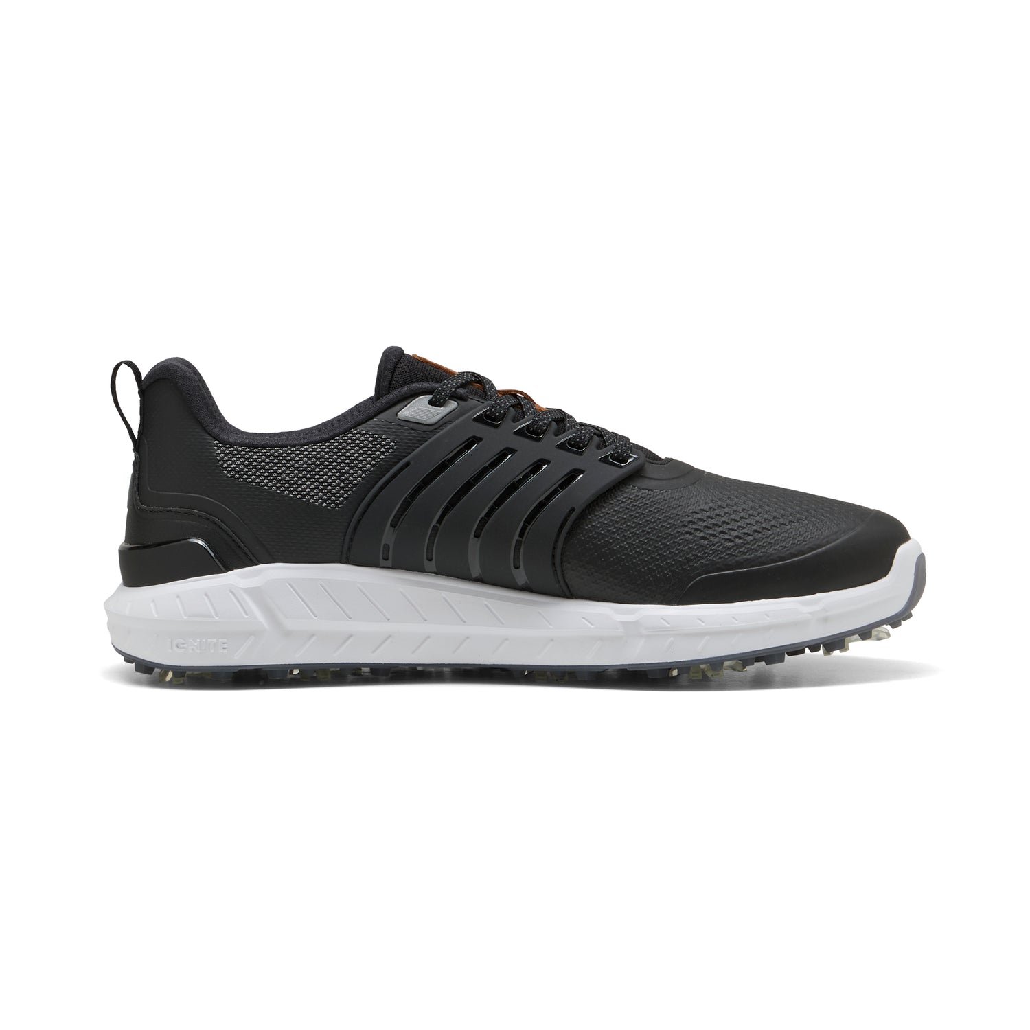Puma Black / Puma Silver / Slate Sky