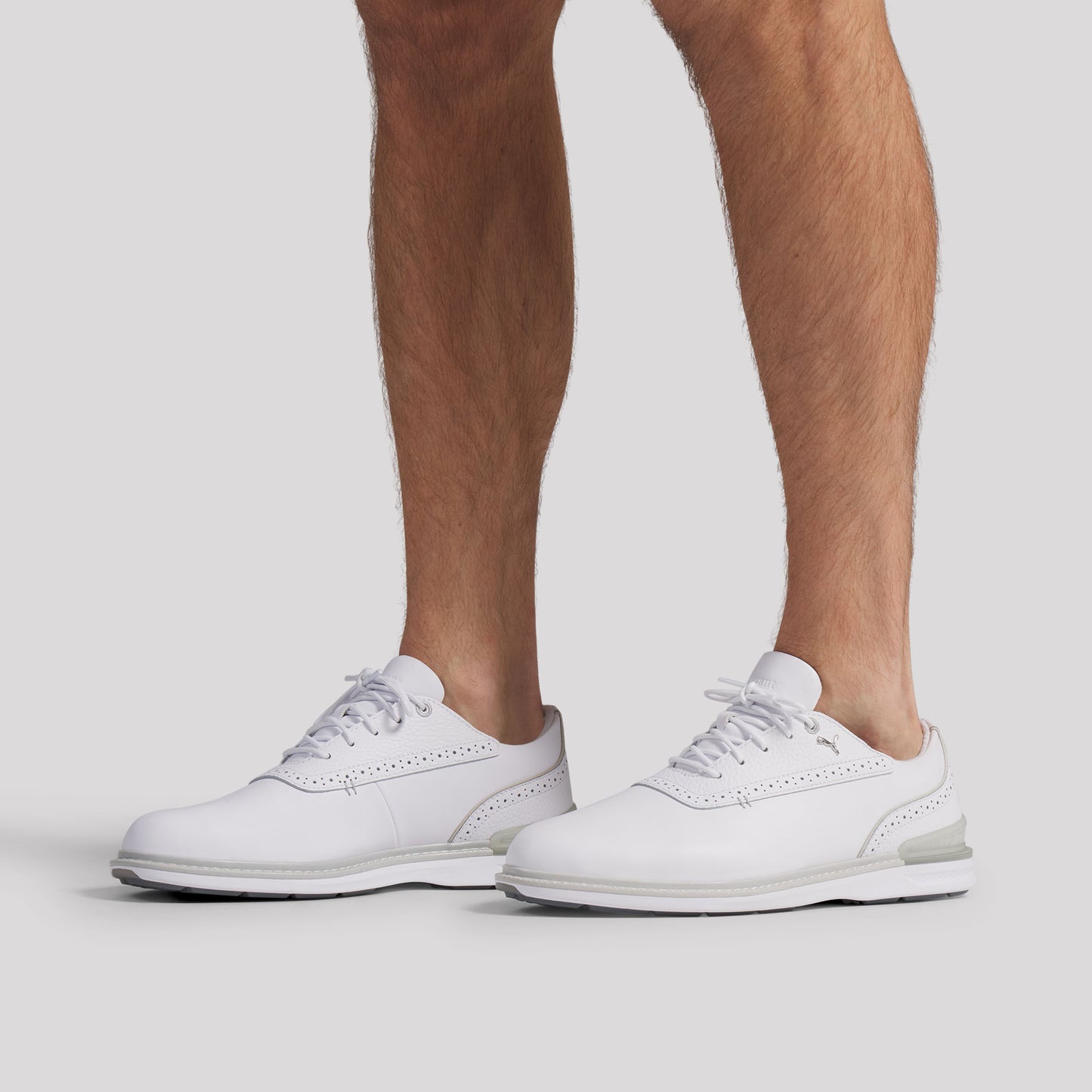 Puma White / Ash Gray / Slate Sky