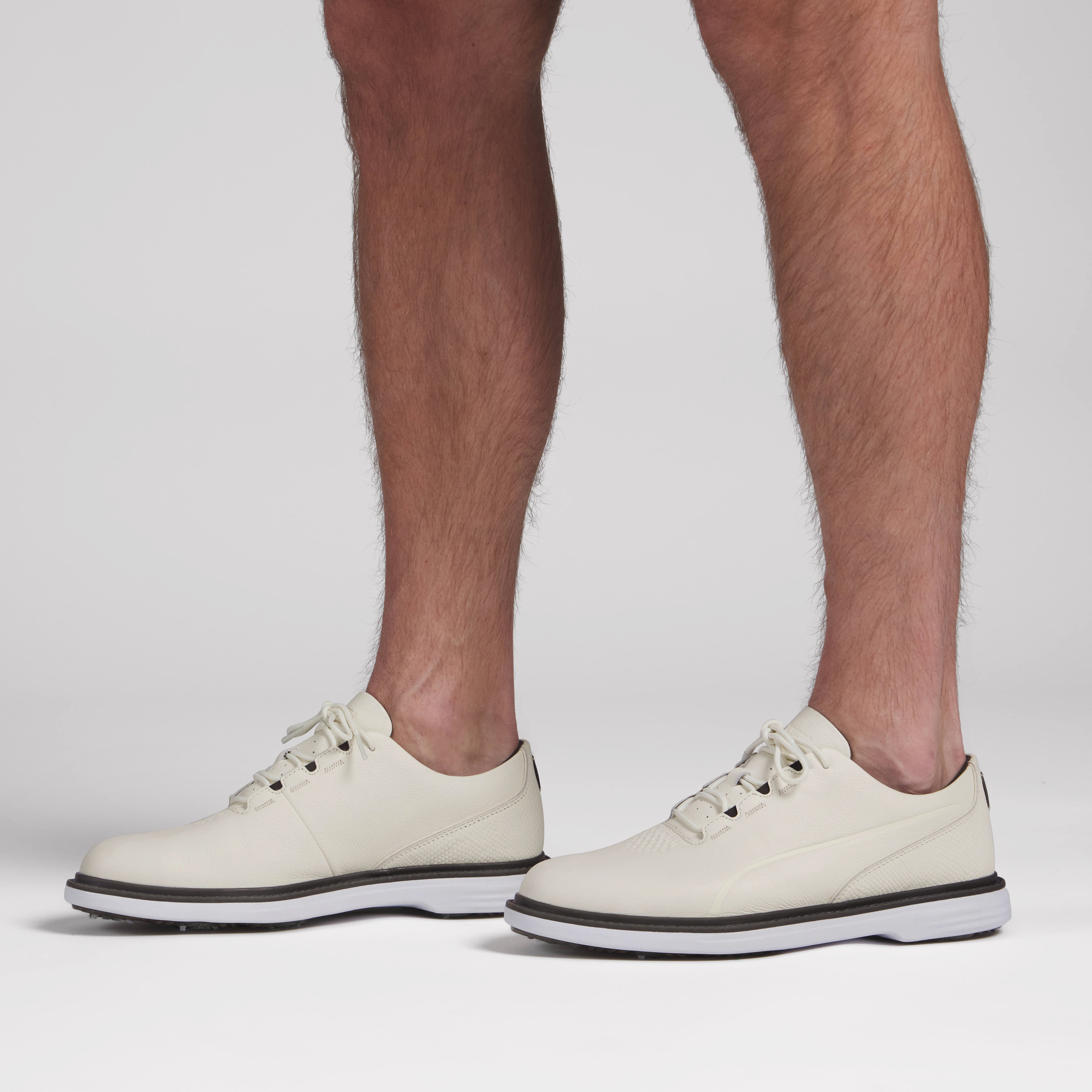 Warm White / Birch