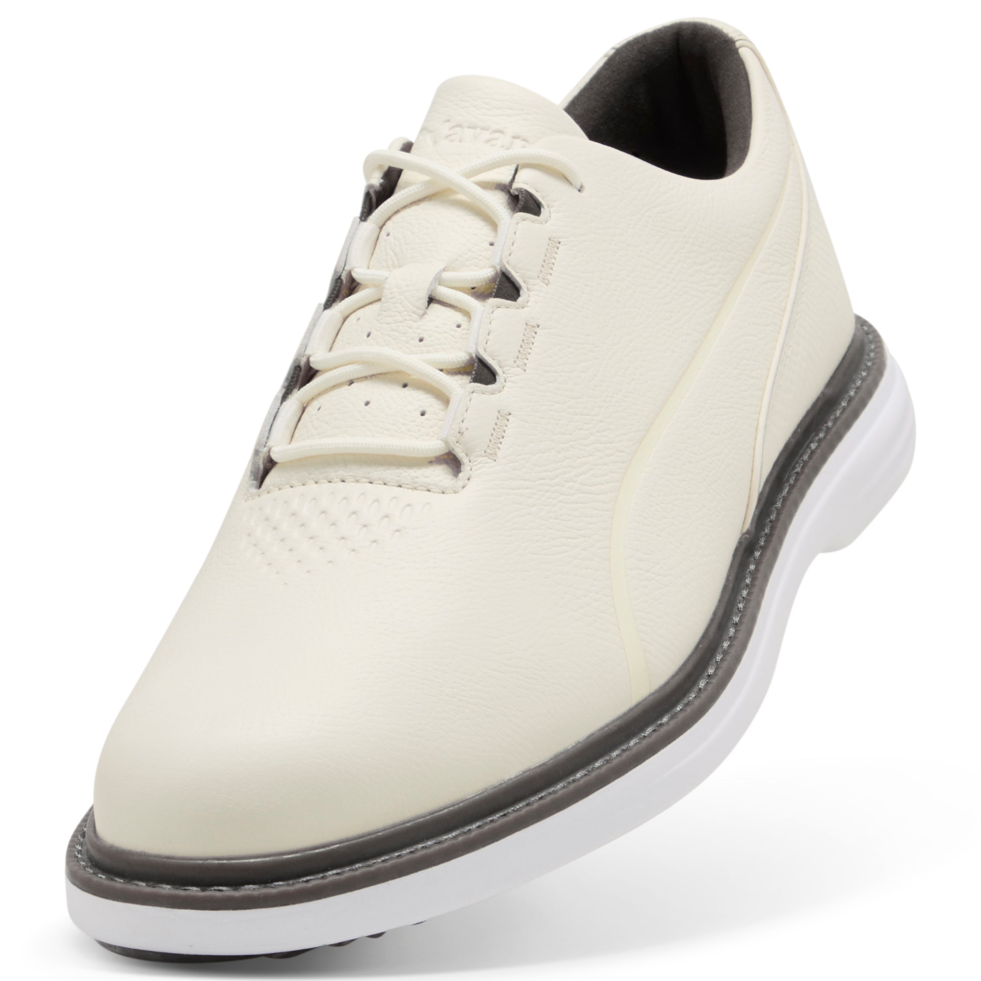 Warm White / Birch