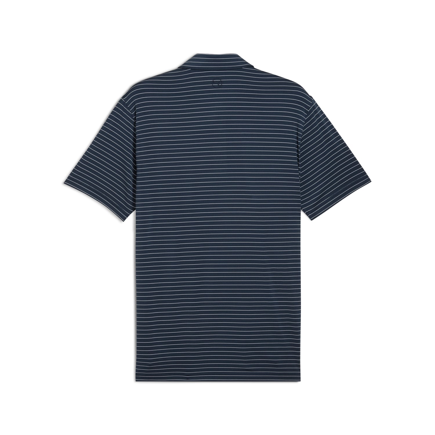 Green Terrain / Deep Navy