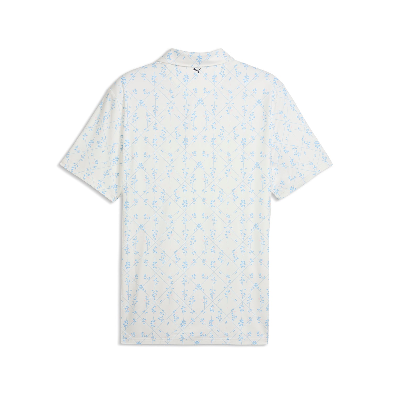 Warm White / Team Light Blue