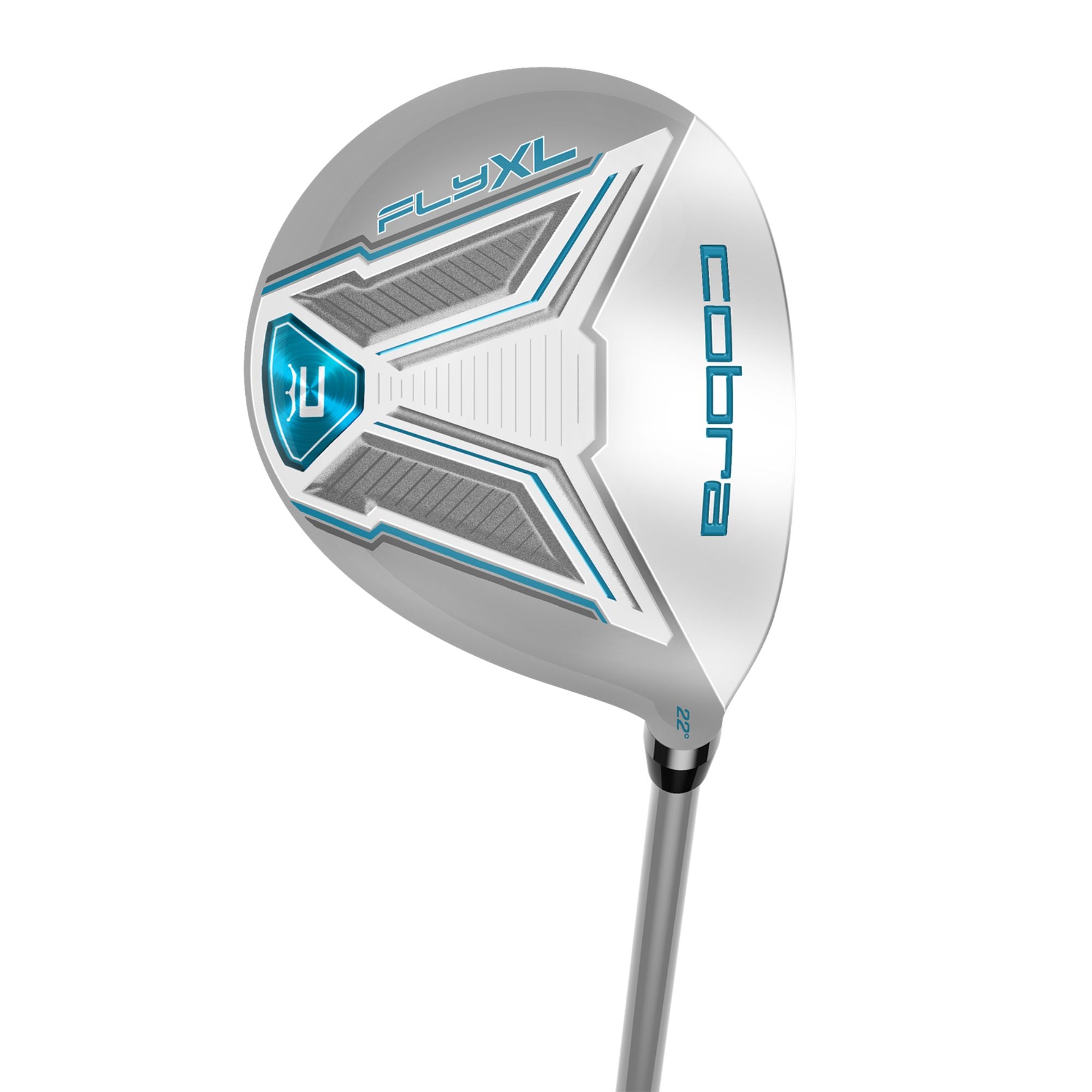 Silver / Blue